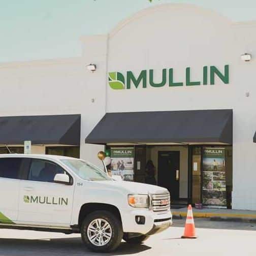 Mullin Landscape — Greater New Orleans, Louisiana